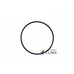 GUARNICION O-RING PARA BOMBA ITALPUMP SERIE P