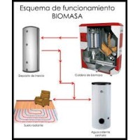 BIOMASA